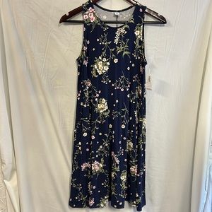 Old Navy Sleeveless Swing Dress (new with tags)